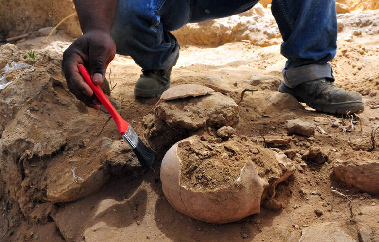 αρχαιολογική ανασκαφή κρανίου