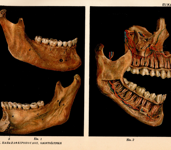 "Οδοντοϊατρική Εις Δέκα Μέρη": Μνημειώδη οδοντιατρική βιβλιογραφία του 1923