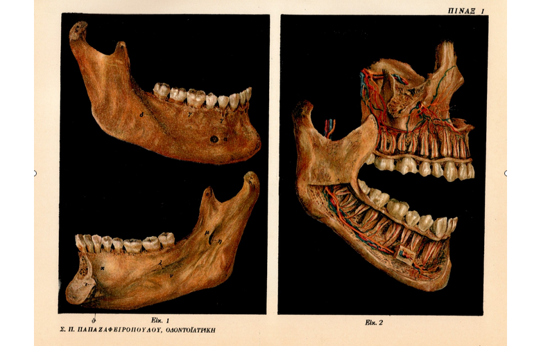 "Οδοντοϊατρική Εις Δέκα Μέρη": Μνημειώδη οδοντιατρική βιβλιογραφία του 1923