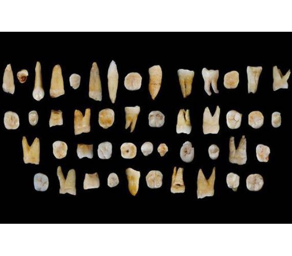 Κινέζοι παλαιοανθρωπολόγοι ανακάλυψαν ανθρώπινα δόντια ηλικίας 120.000 ετών!