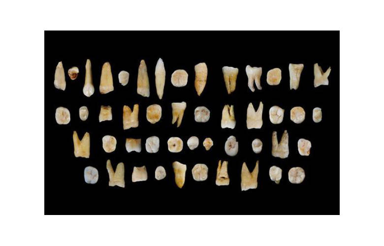 Κινέζοι παλαιοανθρωπολόγοι ανακάλυψαν ανθρώπινα δόντια ηλικίας 120.000 ετών!