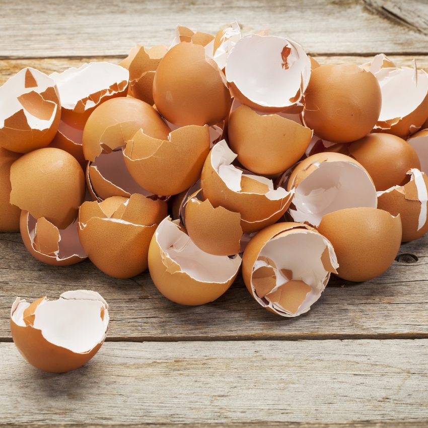 Τα τσόφλια αυγών βοηθούν στη θεραπεία οστών και δοντιών!